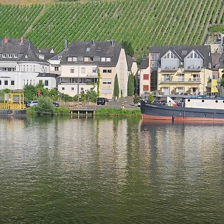Bongarden *